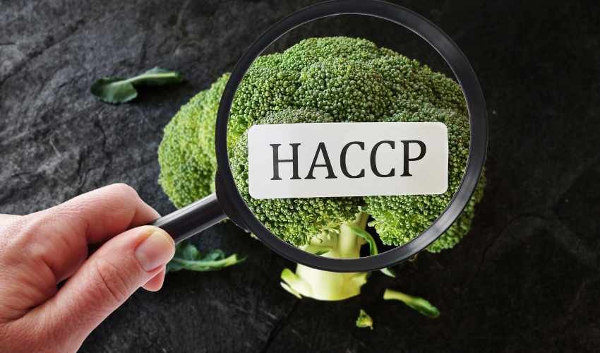 what is haccp