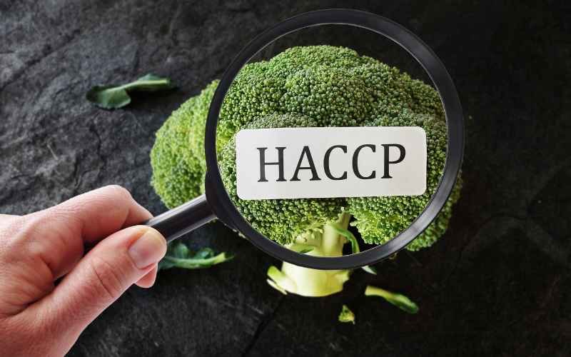 HACCP consultant