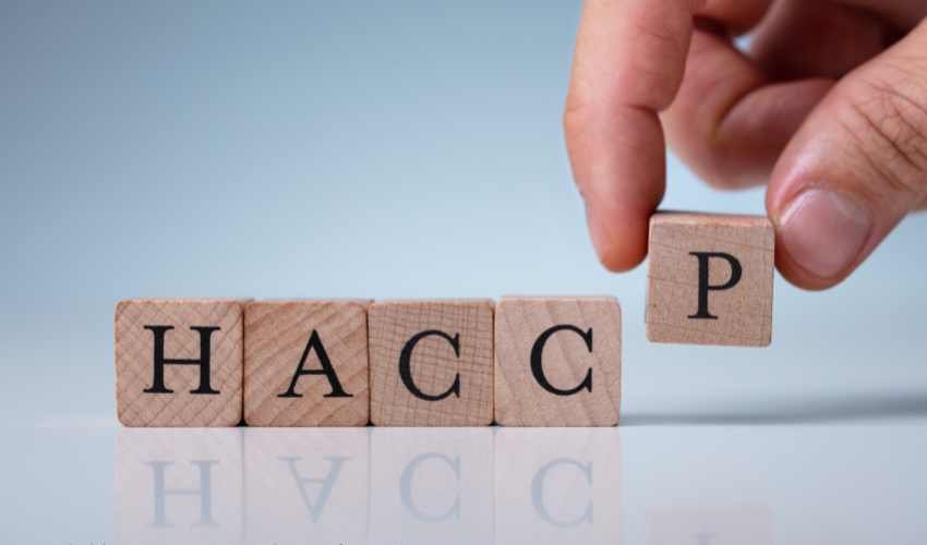 HACCP definition
