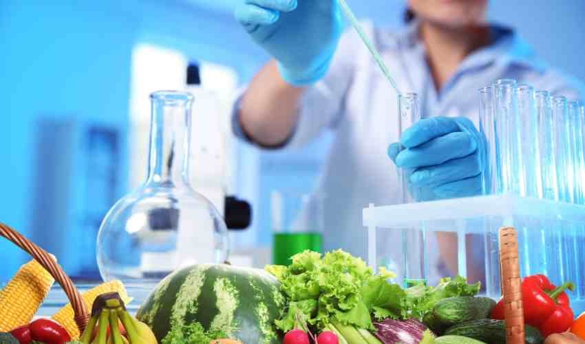 food safety certificate
