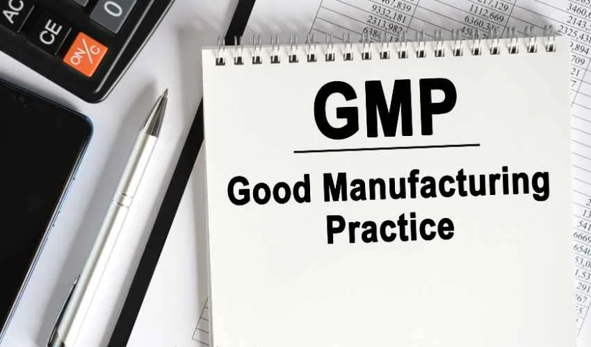 GMP manufacturing