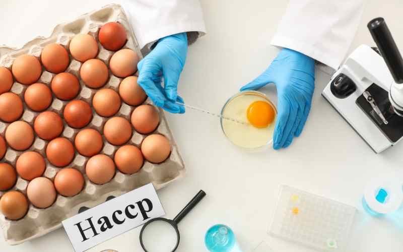 What Does HACCP Stand For