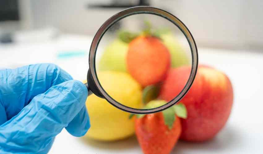 Prerequisite Programs HACCP