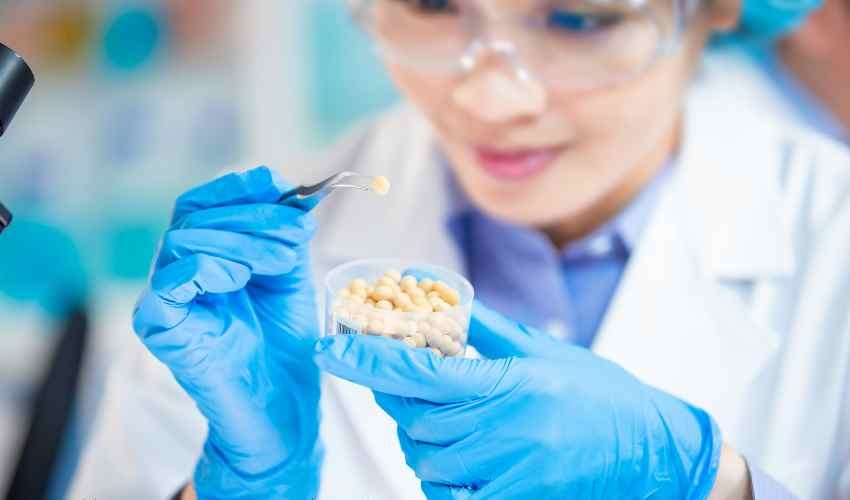 food safety audit
