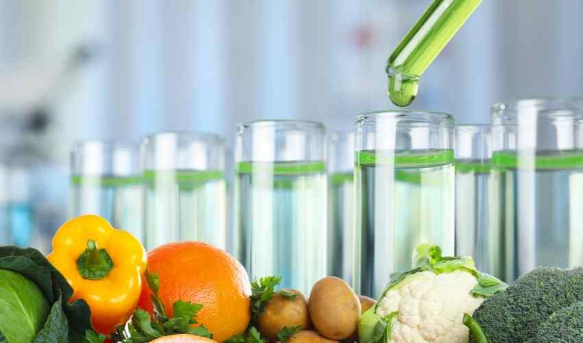 Safe Food Certification