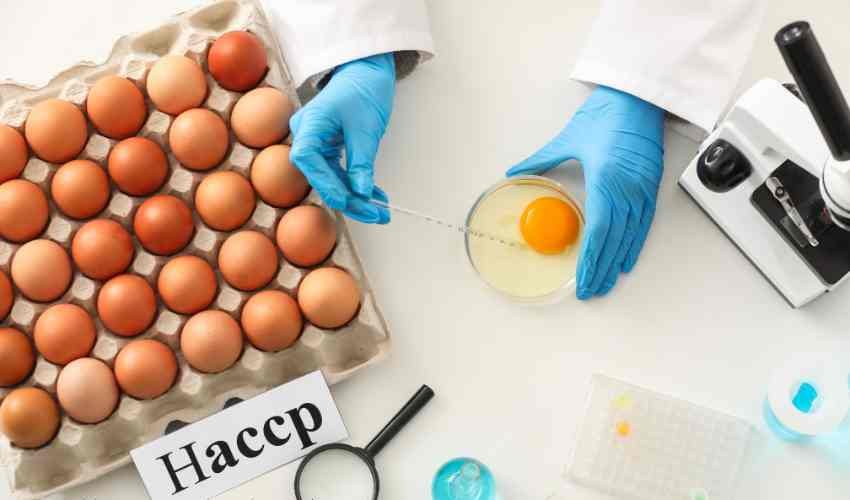 HACCP Meaning