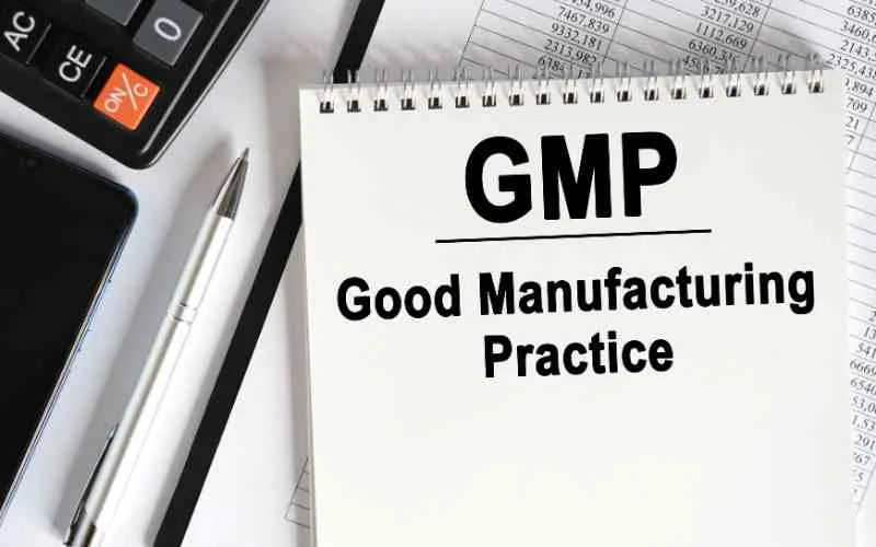 GMP Meaning