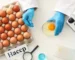 haccp stands for