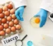 haccp stands for