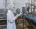 HACCP Auditor